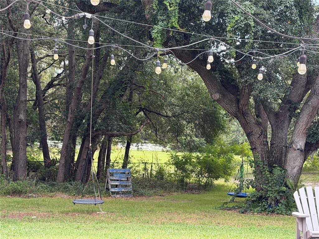 17 DINGO PL, APOPKA, FL — photo 3 of 30