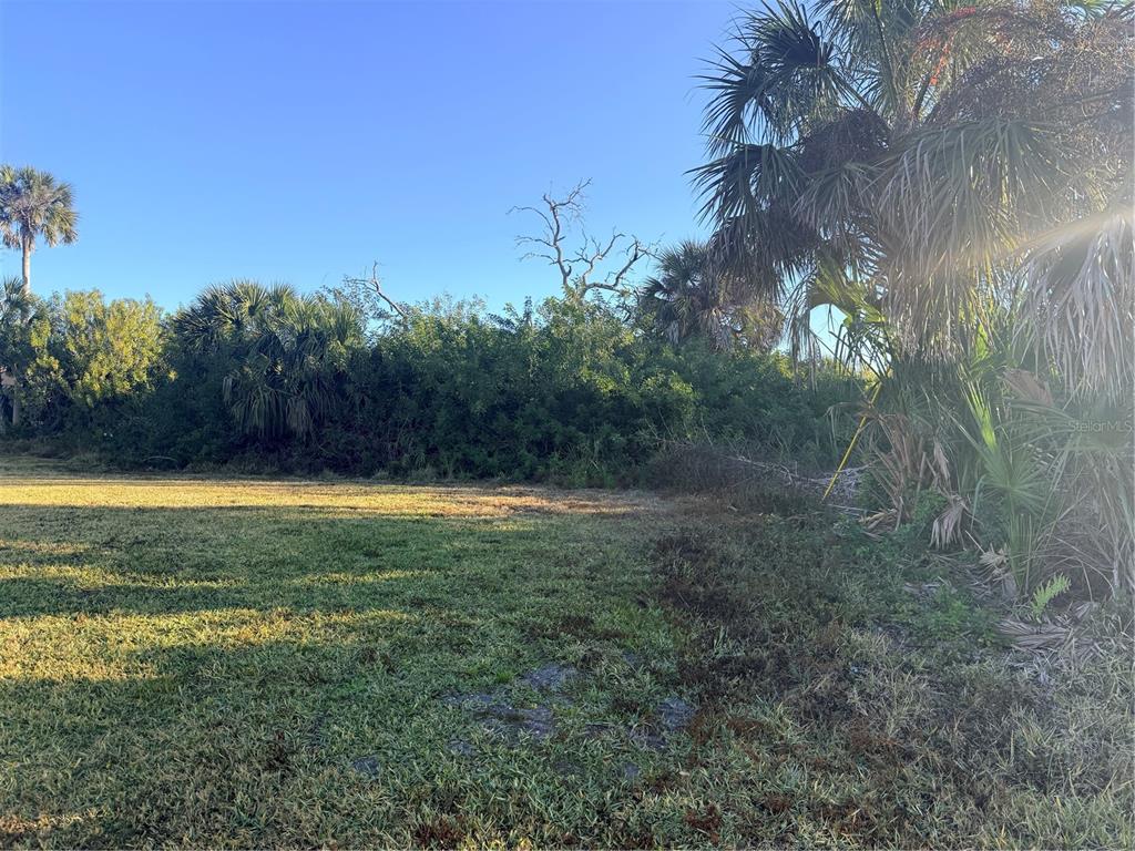 A grassy, undeveloped lot features dense vegetation and palm trees under a clear blue sky — 123 BYRON COURT, ROTONDA WEST, FL