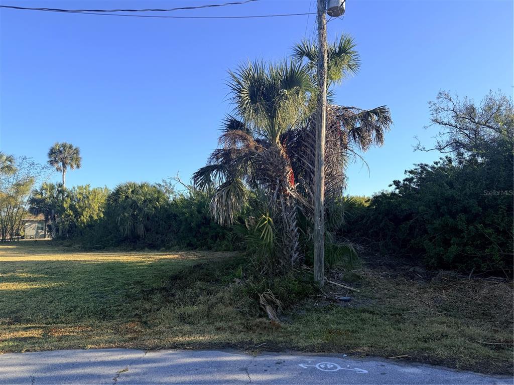 A utility pole stands in front of a palm tree on a grassy vacant lot — 123 BYRON COURT, ROTONDA WEST, FL