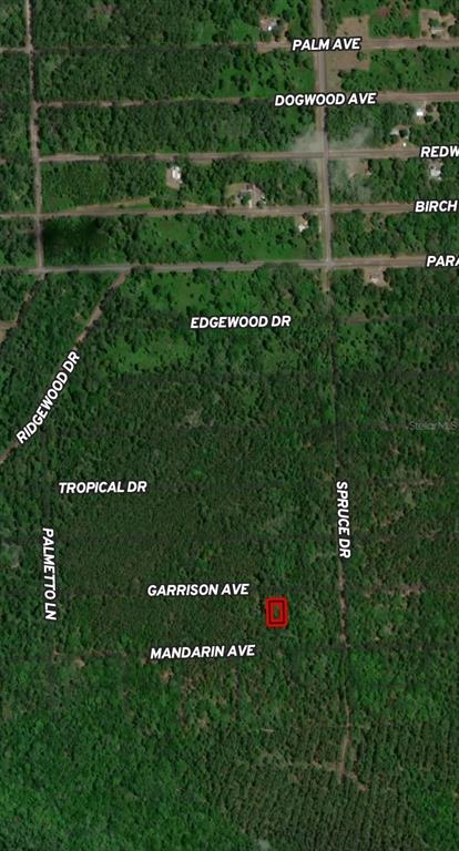 This is an aerial map showing a rectangular property lot highlighted in red — 131 GARRISON AVENUE, GEORGETOWN, FL