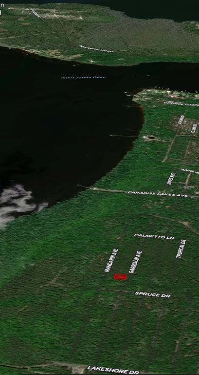 An aerial map view shows a highlighted rectangular property lot near the Saint John River — 131 GARRISON AVENUE, GEORGETOWN, FL