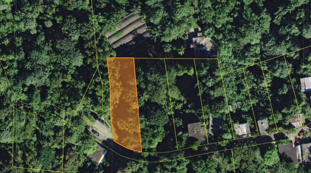 An aerial view shows a highlighted rectangular plot of land surrounded by dense trees — CAIN ALTO. BO. HOCONUCO ALTO, SAN GERMAN, PR