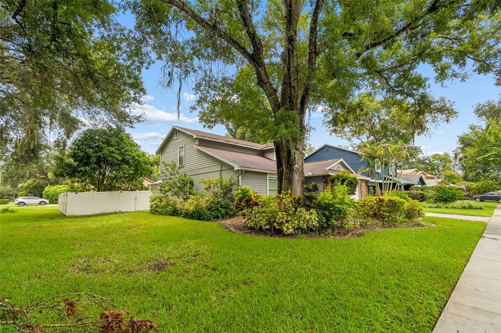 A two-story house with gray siding sits behind a large tree and landscaped front yard — 16507 CRANWOOD PLACE, TAMPA, FL
