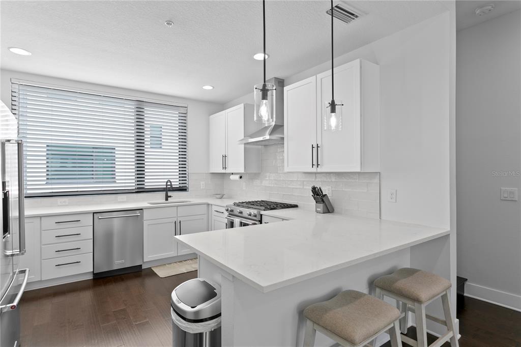 A modern kitchen features white cabinets, a quartz countertop island, and stainless steel appliances — 2511 N GRADY AVENUE UNIT 63, TAMPA, FL