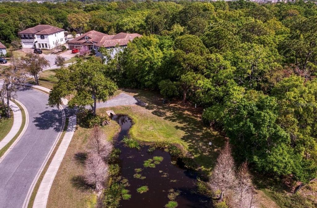 An aerial view shows a residential lot with a pond, trees, and nearby houses — 7849 MARSH POINTE DRIVE, TAMPA, FL