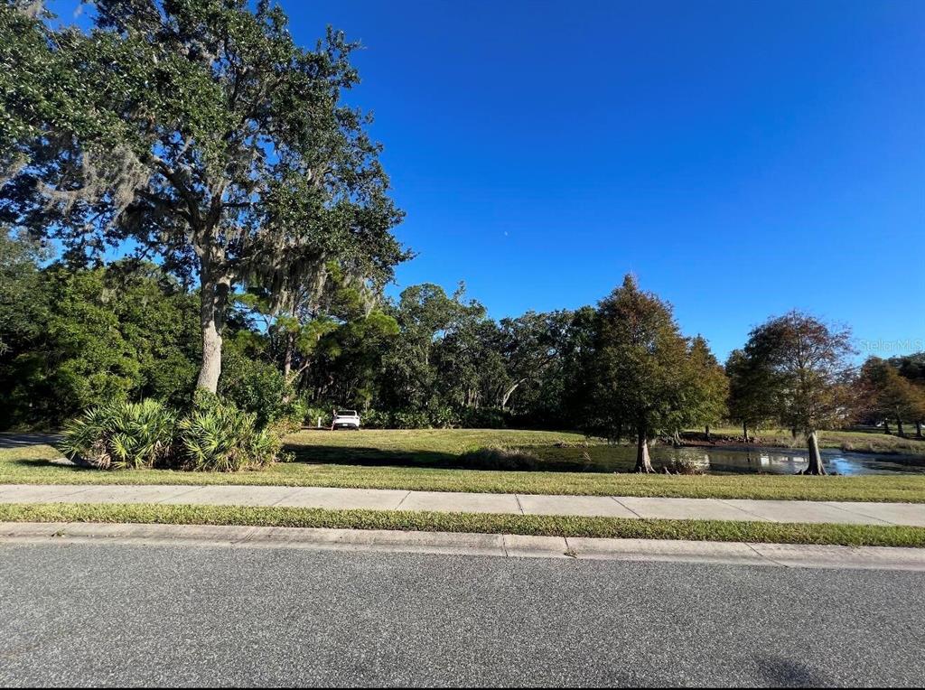A grassy vacant lot features a small pond, mature trees, and a sidewalk in front — 7849 MARSH POINTE DRIVE, TAMPA, FL