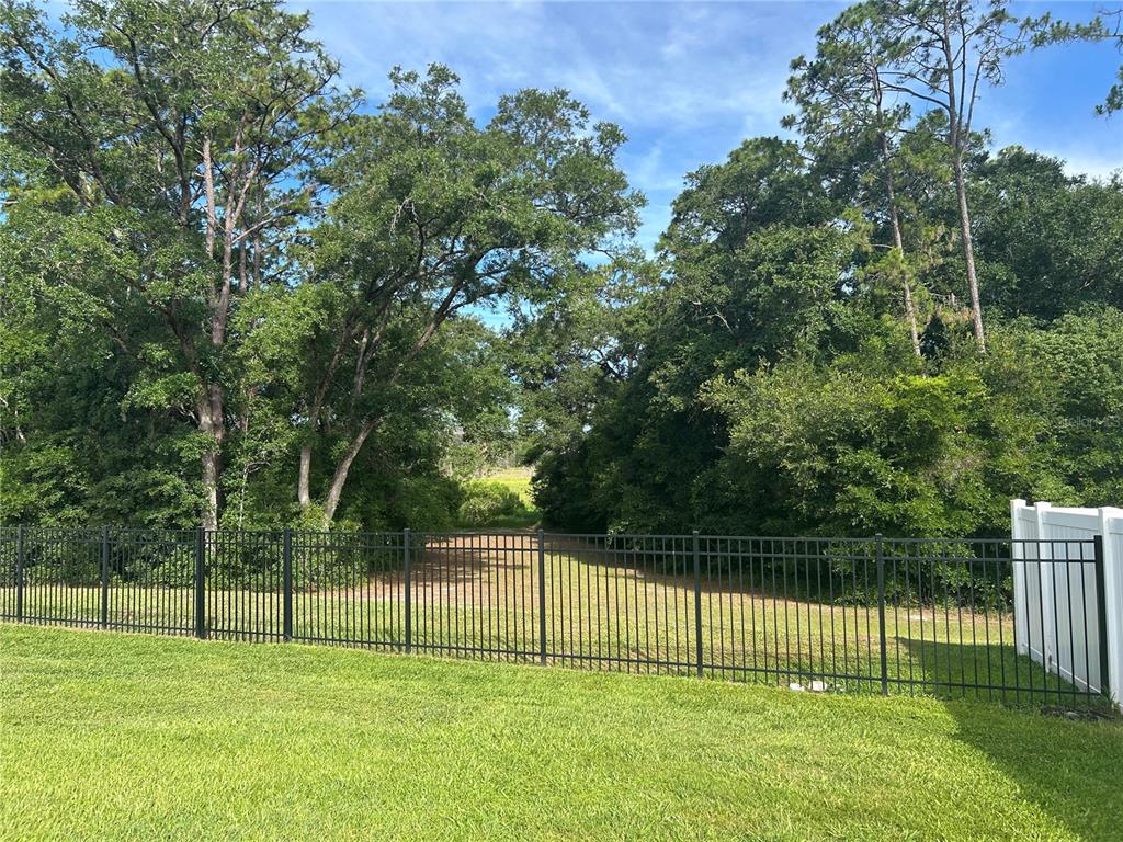 A black metal fence separates a grassy backyard from a wooded area — 5710 ALENLON WAY, MOUNT DORA, FL