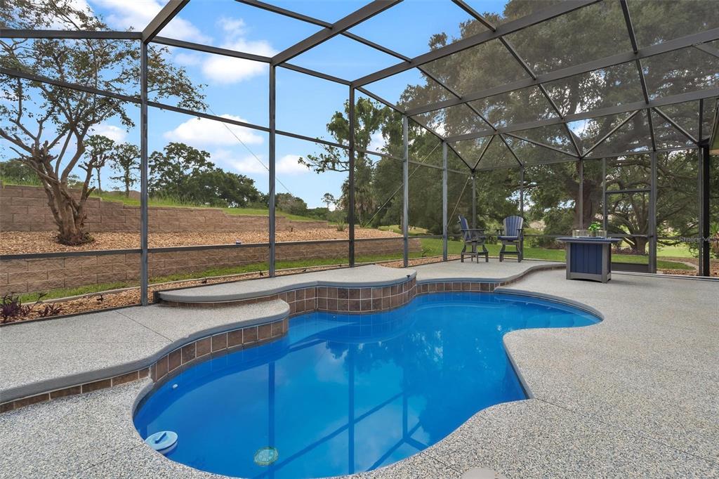 A screened-in patio features a kidney-shaped swimming pool with a raised tiled spillway — 5506 CITATION COURT, LADY LAKE, FL