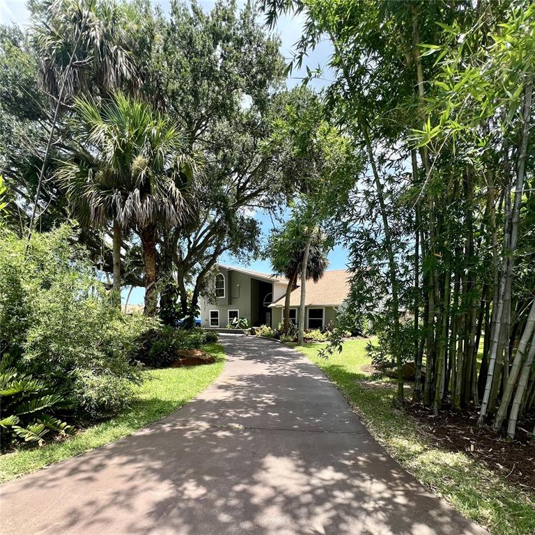 A long concrete driveway leads to a two-story house surrounded by lush trees and bamboo — 1 HARRIS CIRCLE, EDGEWATER, FL