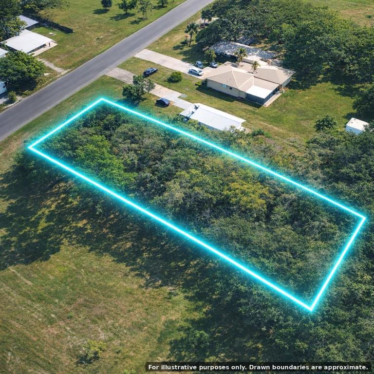 An aerial view shows a rectangular, tree-covered vacant lot outlined in neon blue — FLAMINGO ROAD, OAK HILL, FL