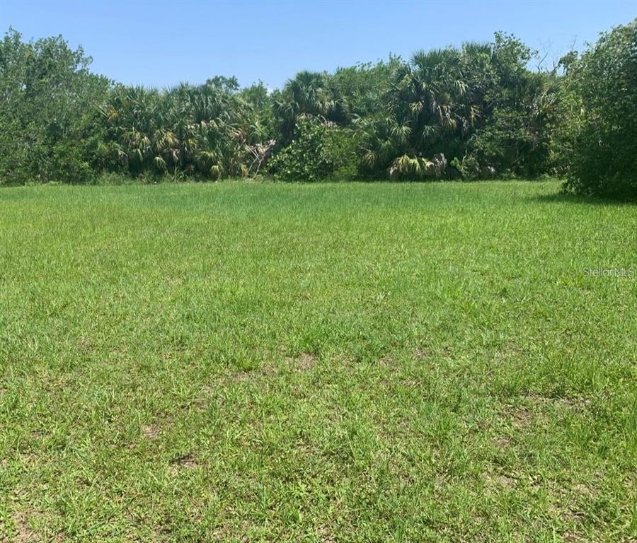 A flat, grassy vacant lot is bordered by a dense line of trees and shrubs — 16907 ACAPULCO ROAD, PUNTA GORDA, FL