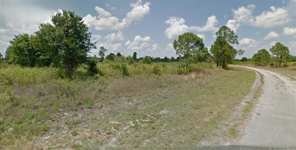 A paved road runs alongside a vacant, grassy lot with scattered trees and shrubs — WINTERVILLE CIRCLE, NORTH PORT, FL