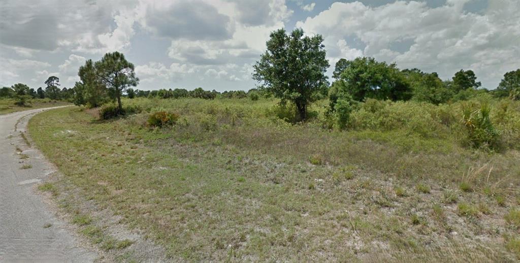 A vacant, grassy lot with scattered trees and shrubs borders a paved road — WINTERVILLE CIRCLE, NORTH PORT, FL