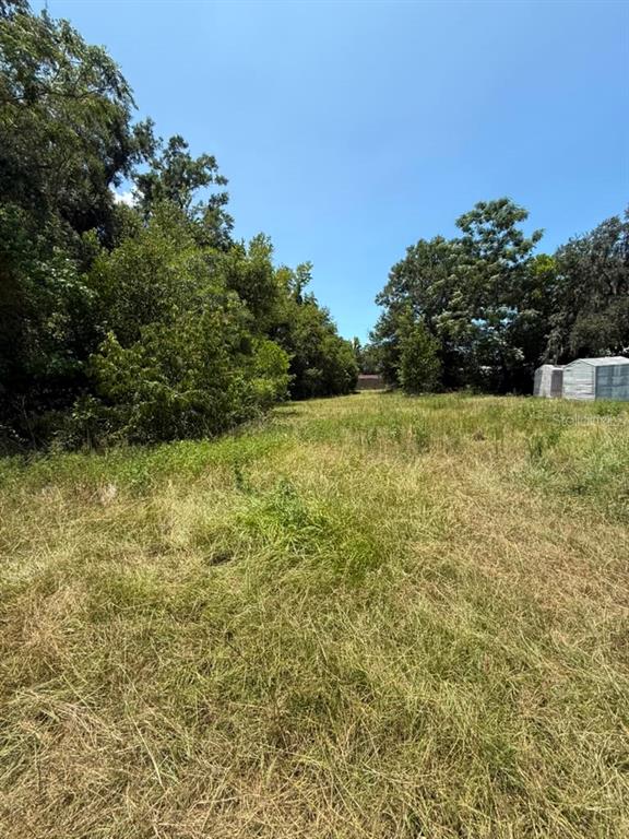 A grassy, undeveloped lot is bordered by dense trees and a small shed — 27275 THRUSH AVENUE, BROOKSVILLE, FL