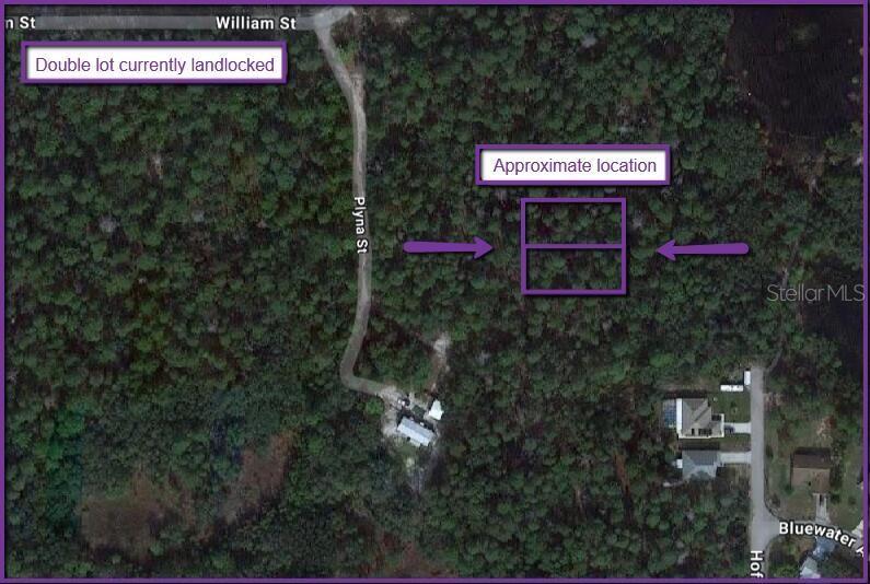 An aerial map shows a wooded, landlocked double lot highlighted with purple boxes and arrows — 0 LAS PALMAS AVENUE lot 11 & 12, SPRING HILL, FL