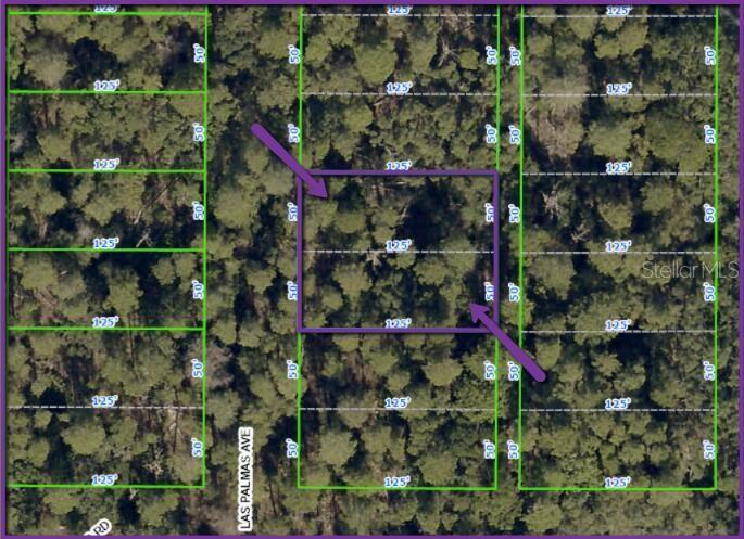 This is an aerial map showing a rectangular plot of land outlined in purple — 0 LAS PALMAS AVENUE lot 11 & 12, SPRING HILL, FL