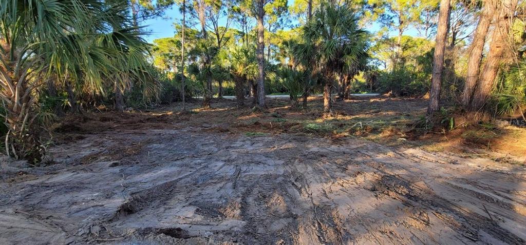 A cleared, sandy residential lot with scattered palm trees and pine trees in the background — 12395 SUNNILAND AVENUE, PORT CHARLOTTE, FL