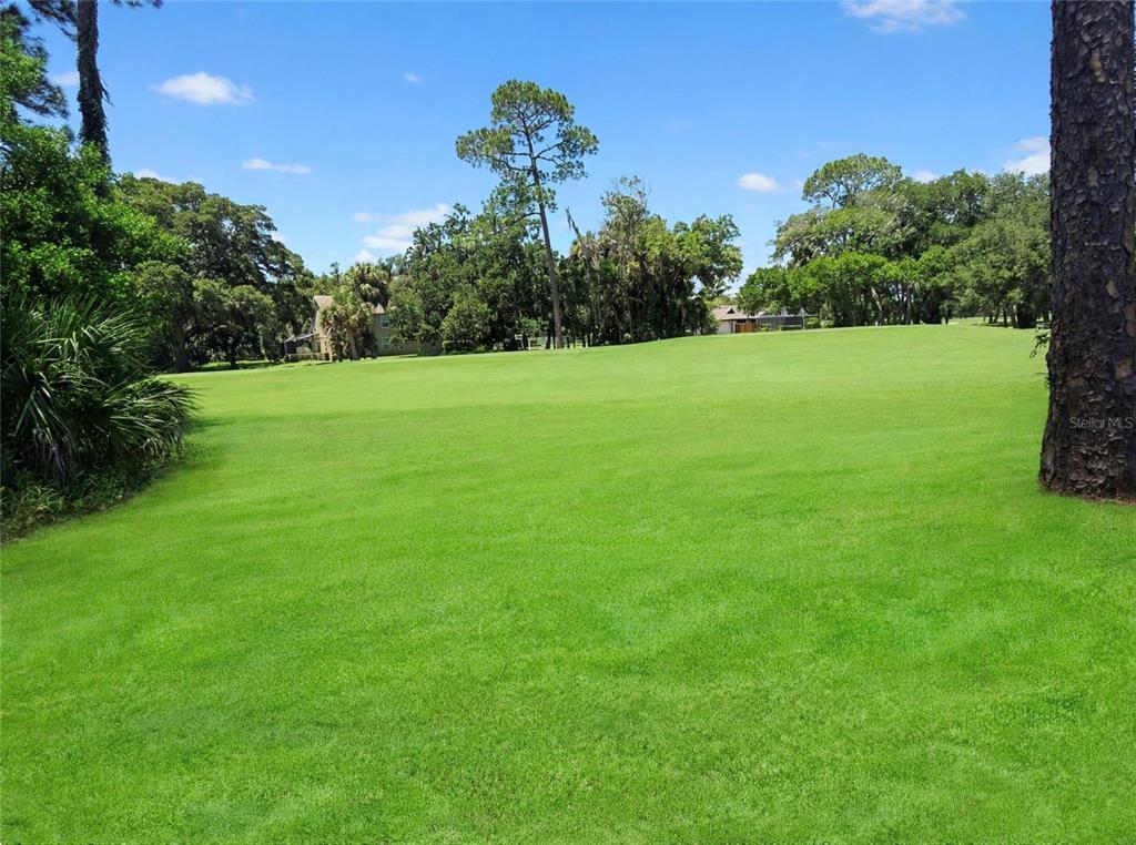 A view of a grassy golf course fairway surrounded by trees under a blue sky — 3 CROMPTON PLACE, PALM COAST, FL