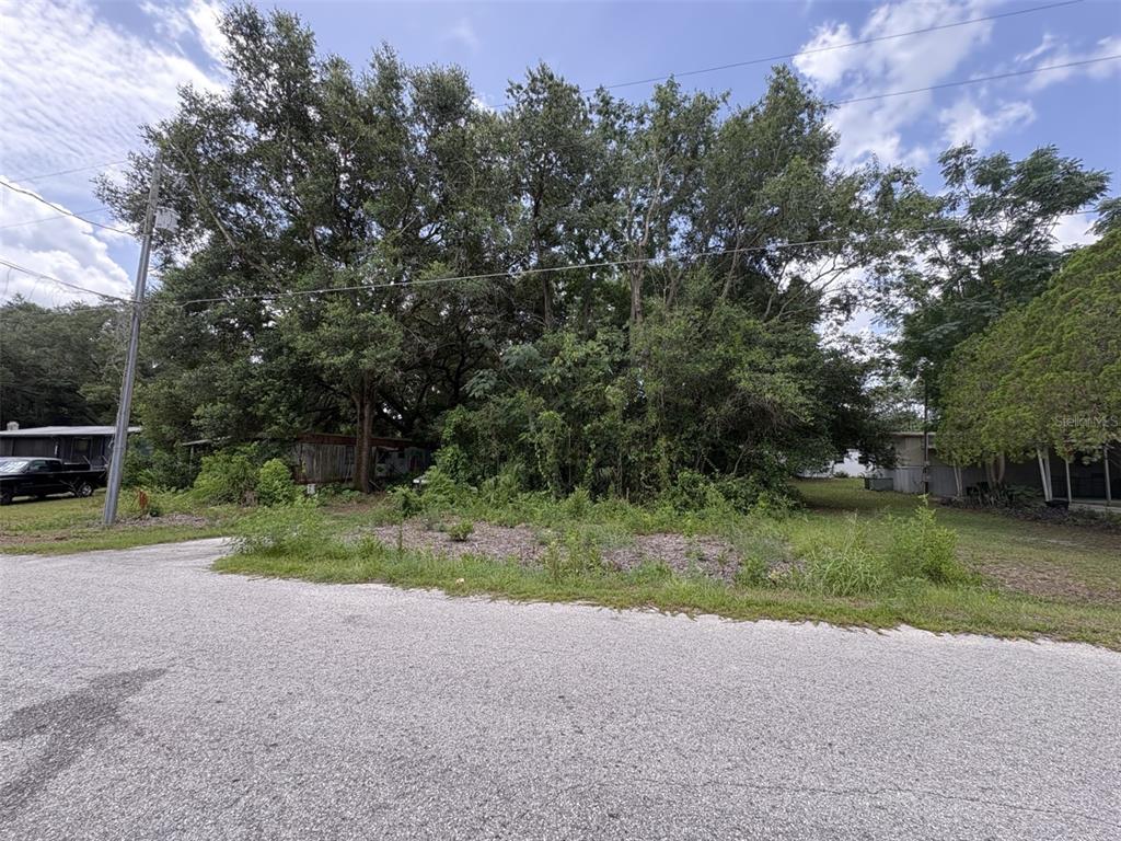 A vacant, overgrown lot sits between two mobile homes along a paved residential street — 10454 SE 148TH PLACE, SUMMERFIELD, FL