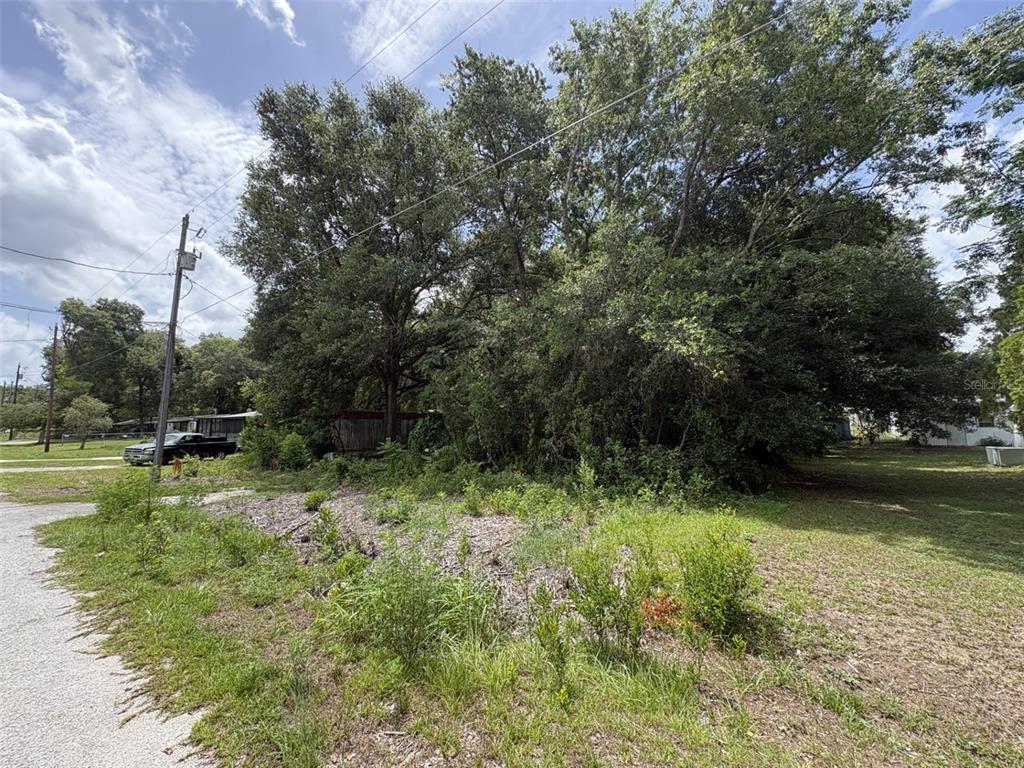 A wooded, overgrown residential lot with a utility pole and a partial view of a structure — 10454 SE 148TH PLACE, SUMMERFIELD, FL