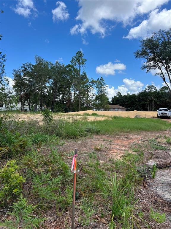A vacant, partially cleared lot features a survey marker in the foreground and distant trees — 210 SPOONBILL DRIVE, KISSIMMEE, FL