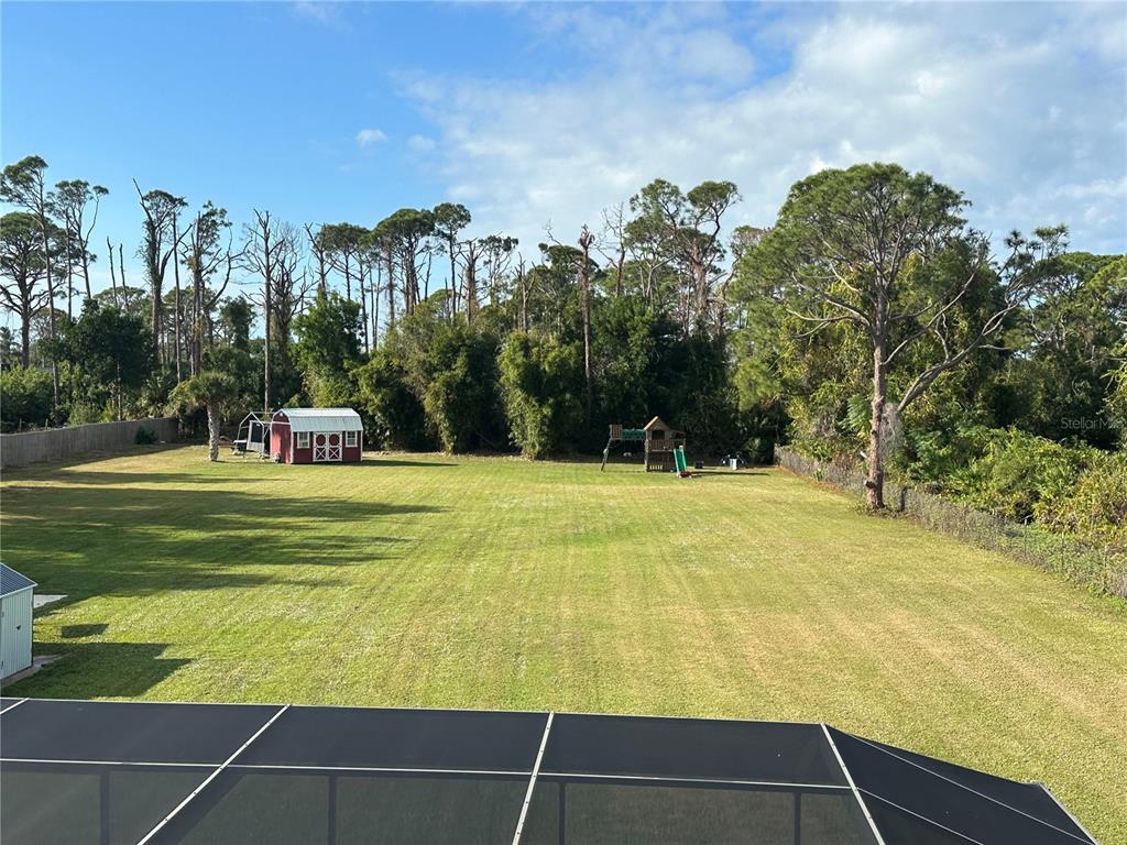 A gravel driveway winds through a grassy field lined with palm trees under a blue sky — 1181 LARCHMONT DRIVE, ENGLEWOOD, FL
