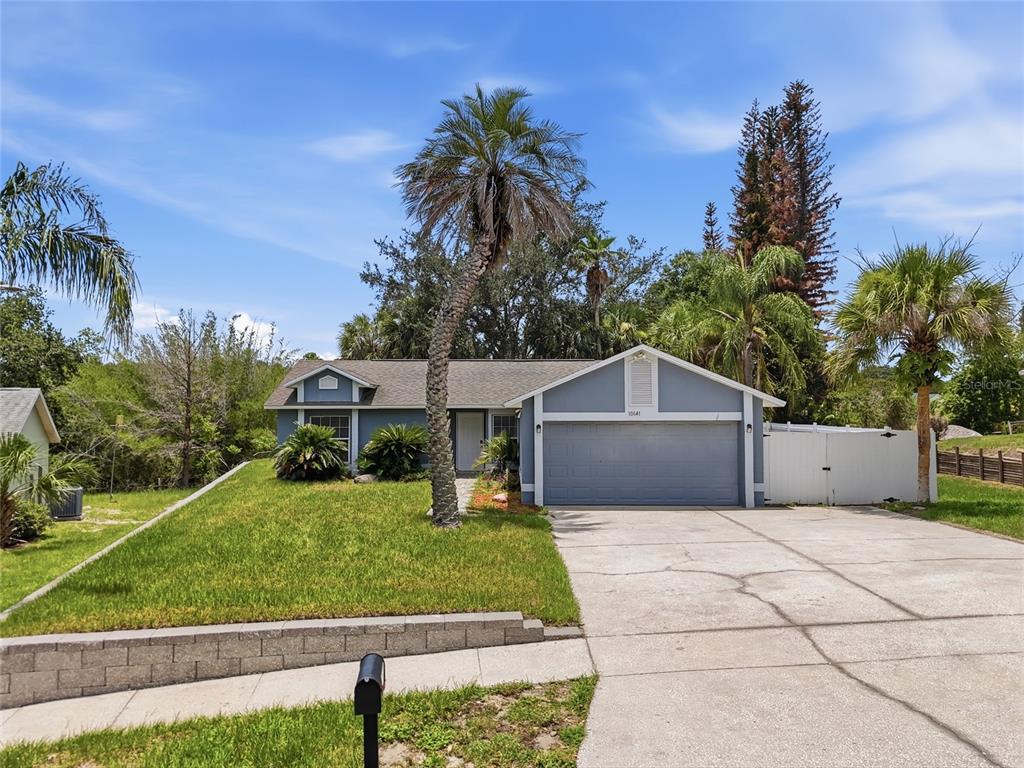 A single-story blue house with a two-car garage, concrete driveway, and palm trees — 10641 LAKE RALPH DRIVE, CLERMONT, FL