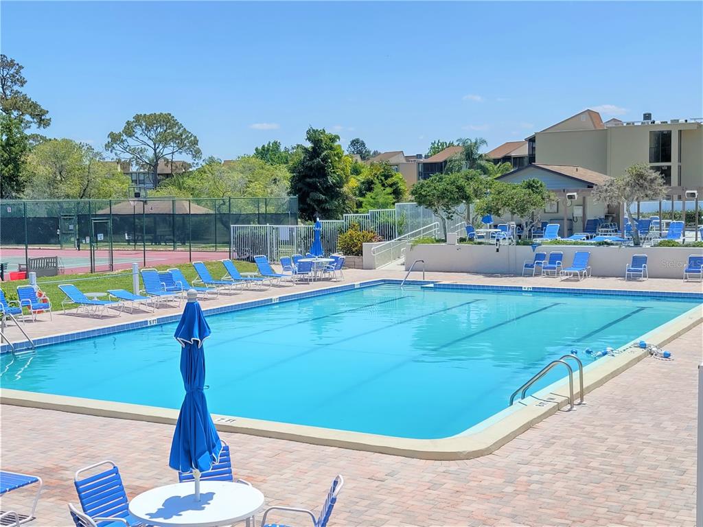 An outdoor swimming pool with lounge chairs and a tennis court in the background — 650 BIRD BAY DRIVE E UNIT 105, VENICE, FL
