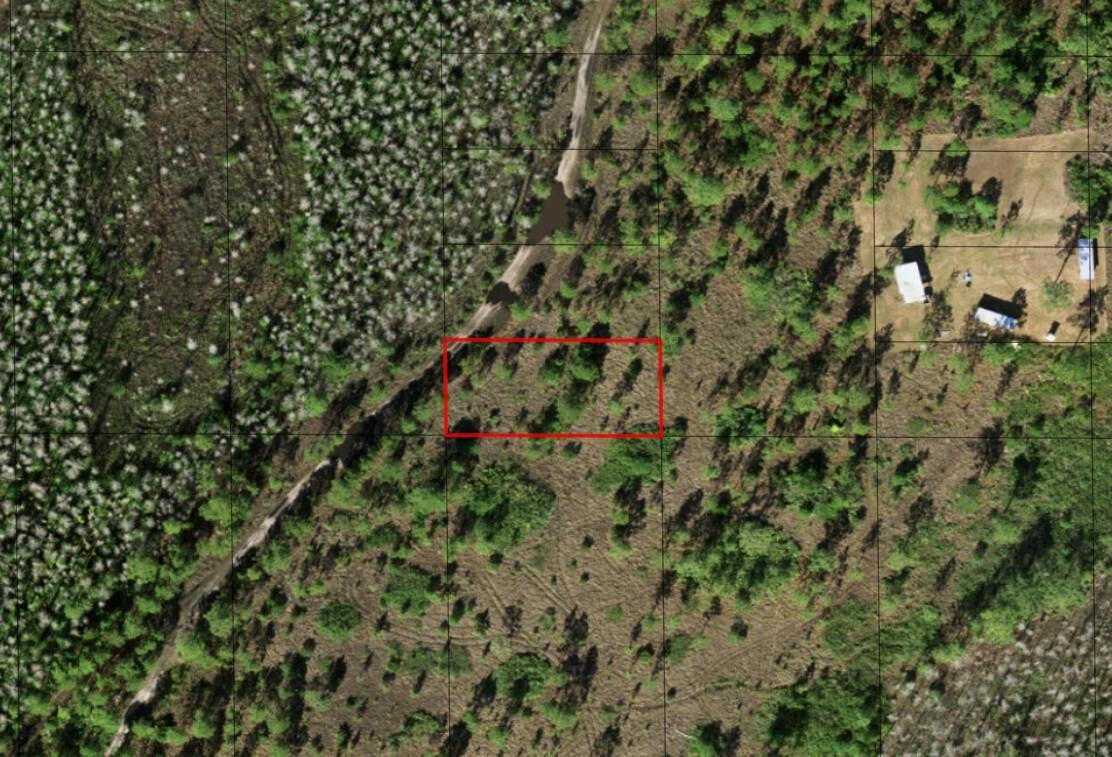 An aerial view of a wooded lot with a red rectangle highlighting a specific area — 0 Holopaw Groves Road, FL 34772, FL