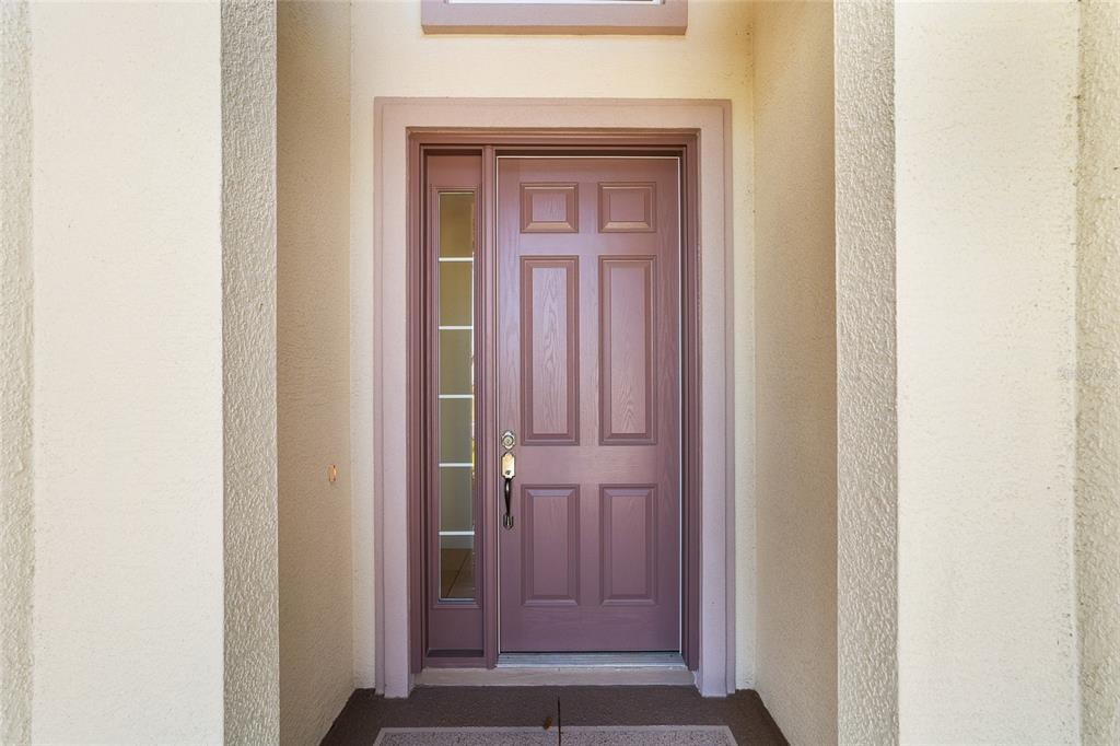 A mauve front door with a side window light is set within a recessed entryway — 10948 SE 167TH PLACE, SUMMERFIELD, FL