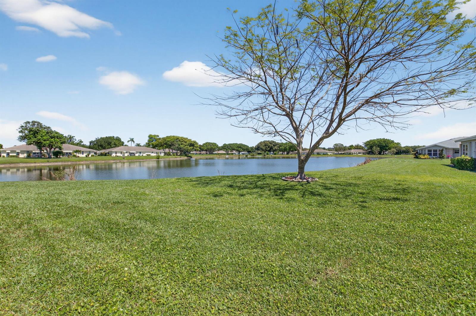 A large tree stands on a grassy lawn overlooking a calm lake with distant houses — 14519 Canalview Drive # B, Delray Beach FL 33484, DELRAY BEACH, FL