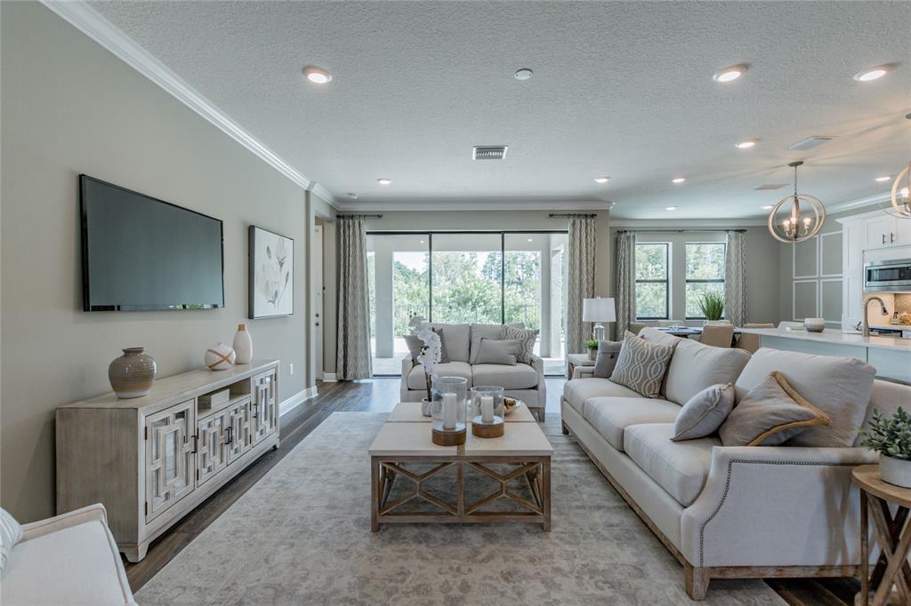 A bright living room features a neutral sofa, patterned rug, and a television above a console — 704 ESTATES BOULEVARD, TARPON SPRINGS, FL