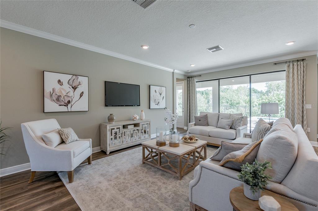 A living room features light-colored furniture, a television on a console, and large sliding doors — 704 ESTATES BOULEVARD, TARPON SPRINGS, FL