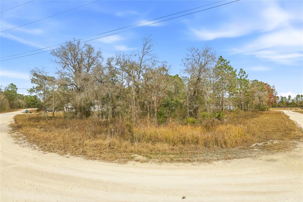 A vacant, wooded corner lot sits at the intersection of two unpaved dirt roads — 16364 CAYMAN ROAD, BROOKSVILLE, FL