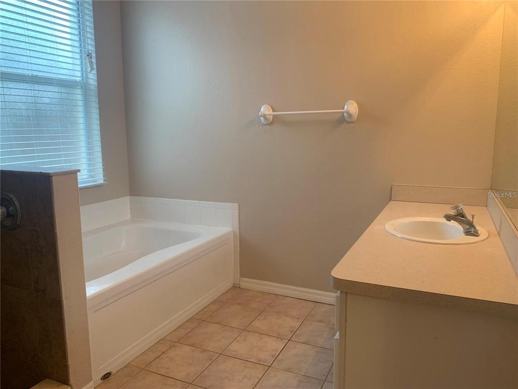 A bathroom features a tiled soaking tub, a single vanity, and a wall-mounted towel bar — 19132 WOOD SAGE DRIVE, TAMPA, FL