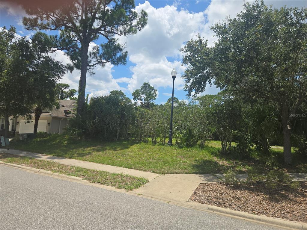 A vacant, grassy residential lot features a street lamp and dense trees under a cloudy sky — 4 SANDPIPER COURT, PALM COAST, FL
