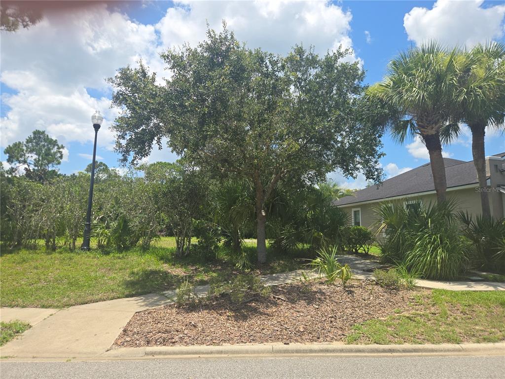 A view of a residential front yard with a large tree, landscaping, and a sidewalk — 4 SANDPIPER COURT, PALM COAST, FL