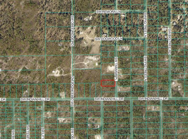 This is an aerial map showing a rectangular parcel of land highlighted in red — 00 TAMIAMI PLACE, DUNNELLON, FL