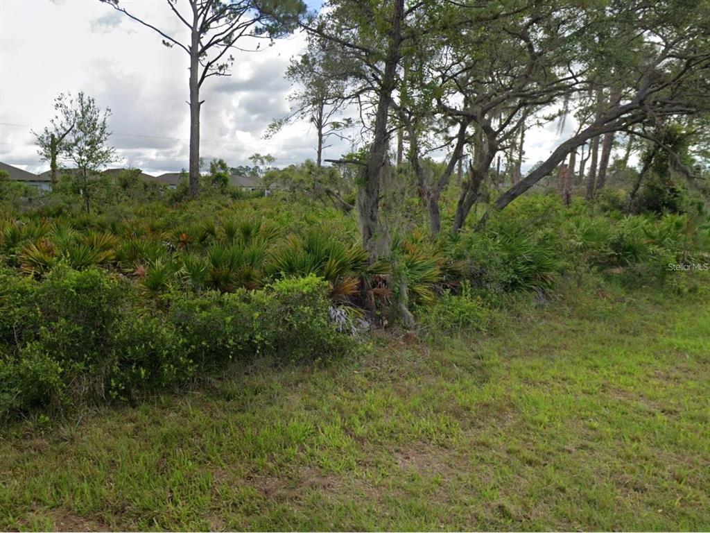 A grassy foreground leads to a dense, wooded lot with palmettos and mature trees — 15230 TIVOLI AVENUE, PORT CHARLOTTE, FL