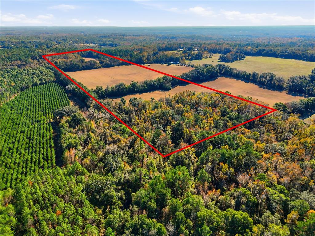 An aerial view shows a large, rectangular plot of land outlined in red — OLD BELLAMY RD, HIGH SPRINGS, FL
