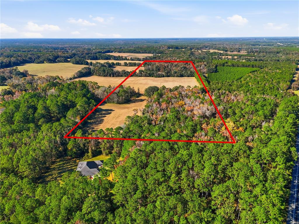 An aerial view shows a large, cleared field outlined in red surrounded by dense forest — OLD BELLAMY RD, HIGH SPRINGS, FL