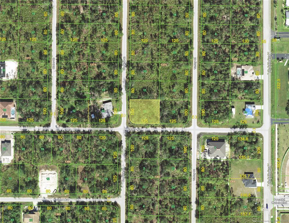 This is a satellite map showing residential land parcels and street layouts — 3328 DUNKIRK STREET, PORT CHARLOTTE, FL