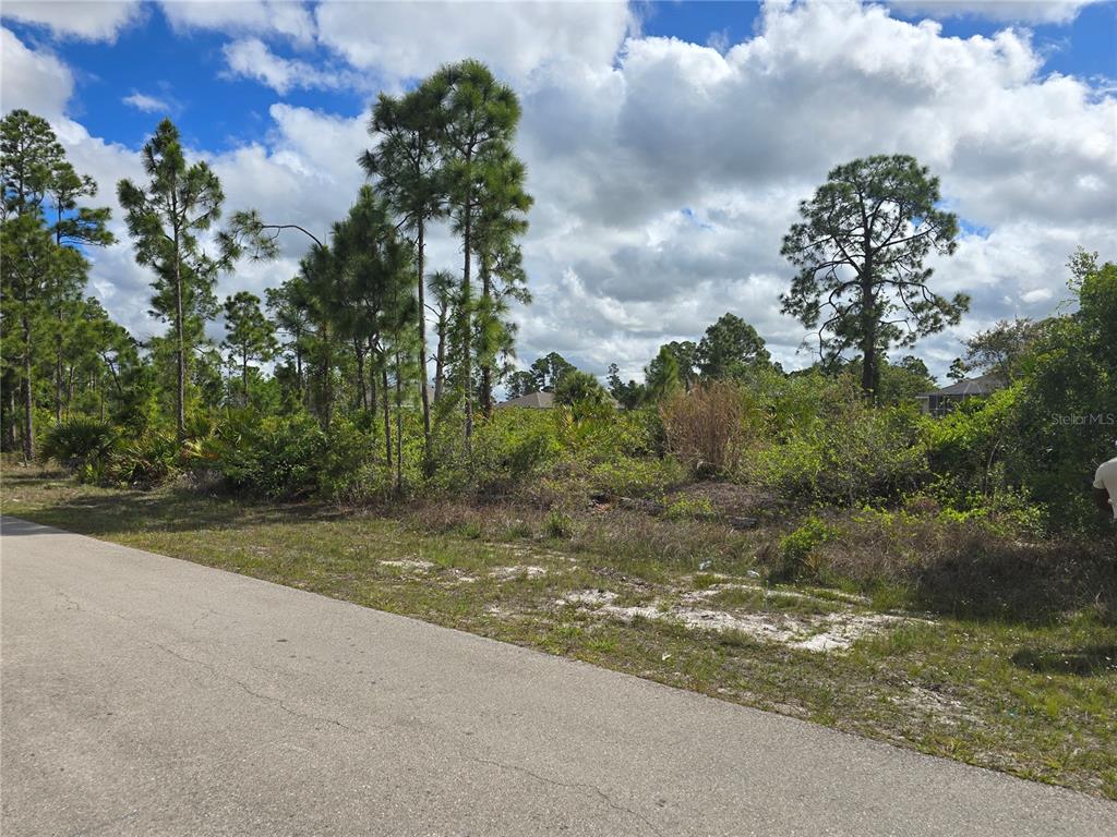 A paved road runs alongside a vacant, wooded lot with pine trees and native vegetation — 1023 FAYETTE AVENUE, LEHIGH ACRES, FL