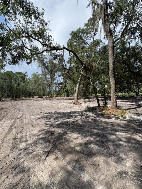 A cleared, sandy lot features several large, moss-draped oak trees under a cloudy sky — COUNTY ROAD 309, CRESCENT CITY, FL