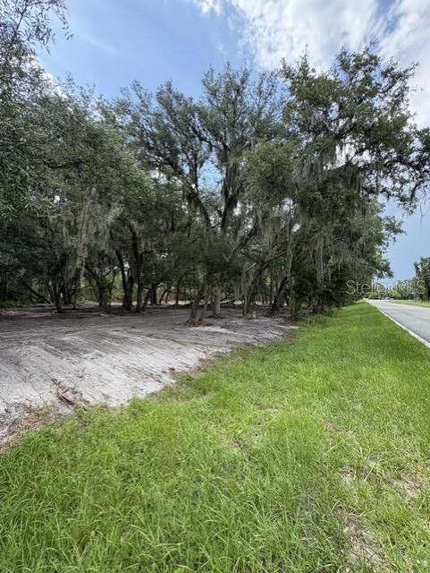 A grassy roadside leads to a cleared, sandy lot shaded by several large oak trees — COUNTY ROAD 309, CRESCENT CITY, FL