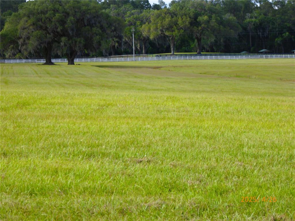 A large, open grassy field features a white fence and mature trees in the background — 12750 W HIGHWAY 40 W, OCALA, FL