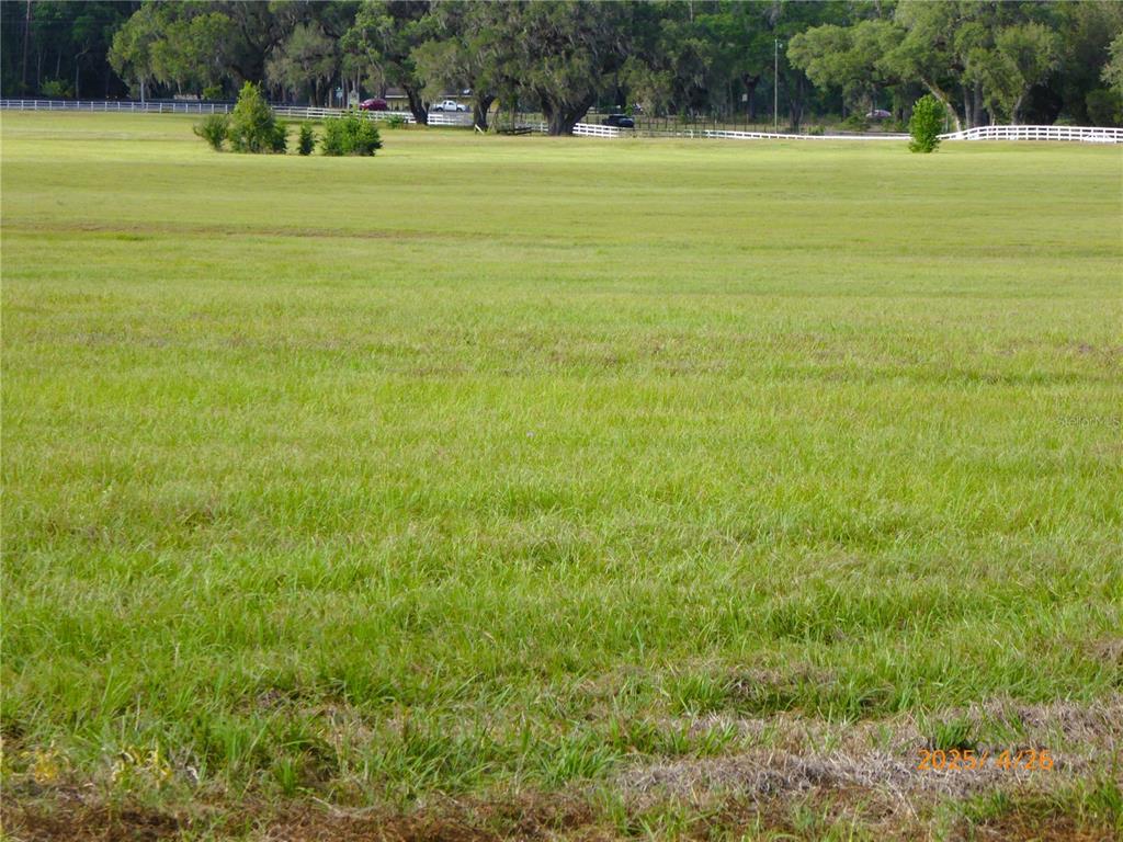 A wide, grassy field features scattered trees and a white fence in the background — 12750 W HIGHWAY 40 W, OCALA, FL