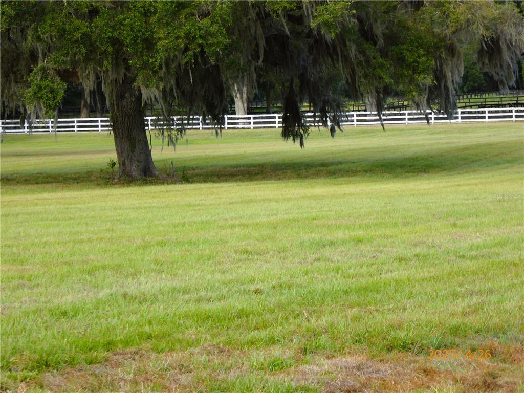 A large oak tree with Spanish moss stands in a grassy field with white fencing — 12750 W HIGHWAY 40 W, OCALA, FL