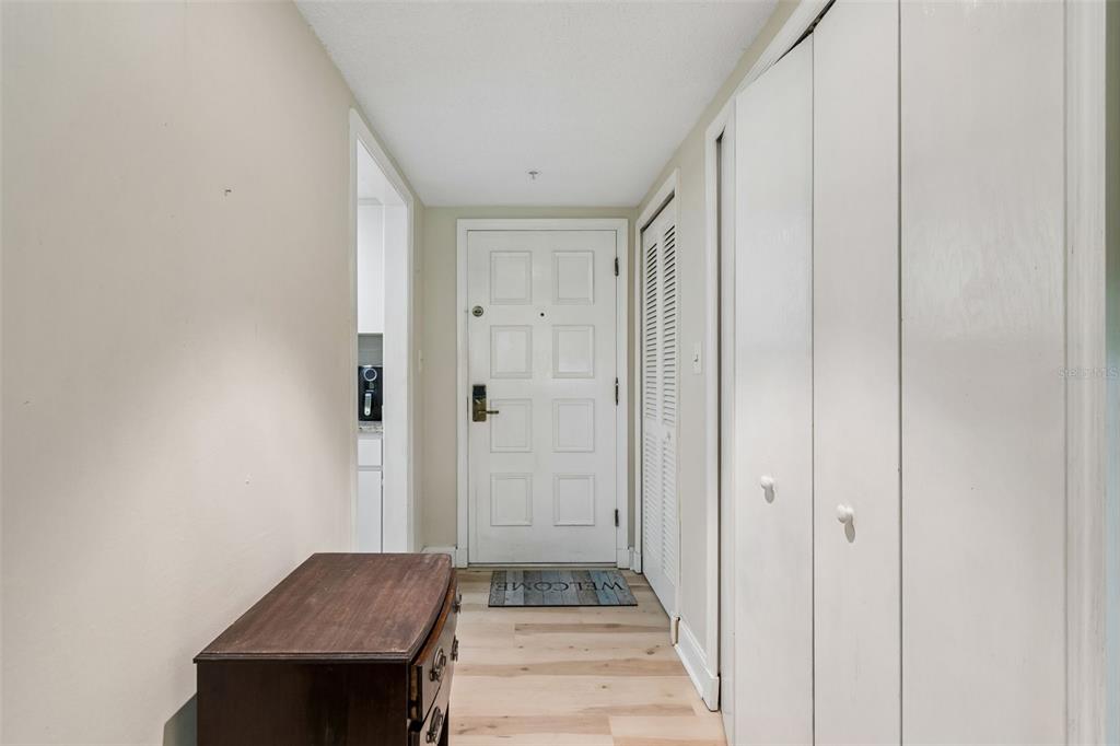 An entryway features light wood flooring, a white front door, and white closet doors — 36750 US HIGHWAY 19 N UNIT 13118, PALM HARBOR, FL