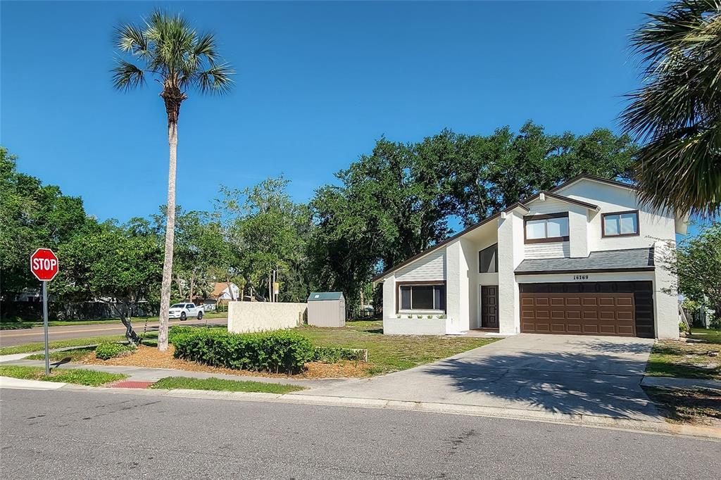 A two-story house with a brown garage door and a palm tree in the yard — 16169 GARDENDALE DRIVE, TAMPA, FL